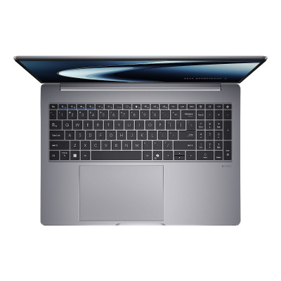 ASUS ExpertBook P3 P3605CVA-MB0017X