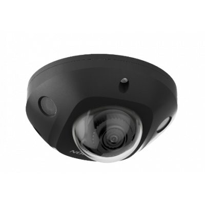 DS-2CD2543G2-IS(2.8mm)/Black